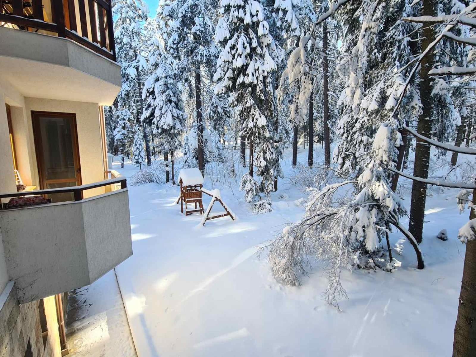 Forest Apartment/ Villa Park ボロヴェッツ エクステリア 写真